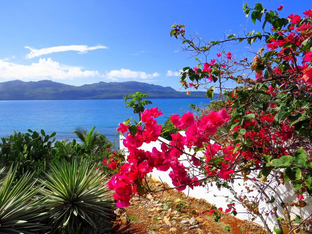 Villa Salamandra Las Galeras Exterior foto